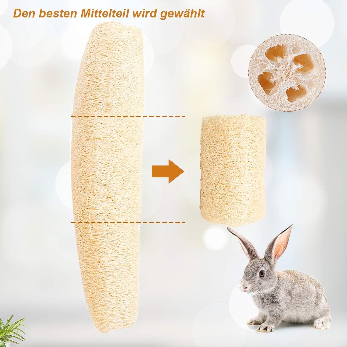 Hamster Chew Toys Gerbil Rat Guinea Pig Chinchilla Chew Toys Accessories, 8 Pack Fun and Safe Toys for Small Animals, Teeth Care Molar Toy for Rabbits Bird Rabbits Hamster Gerbil (8 Pack)